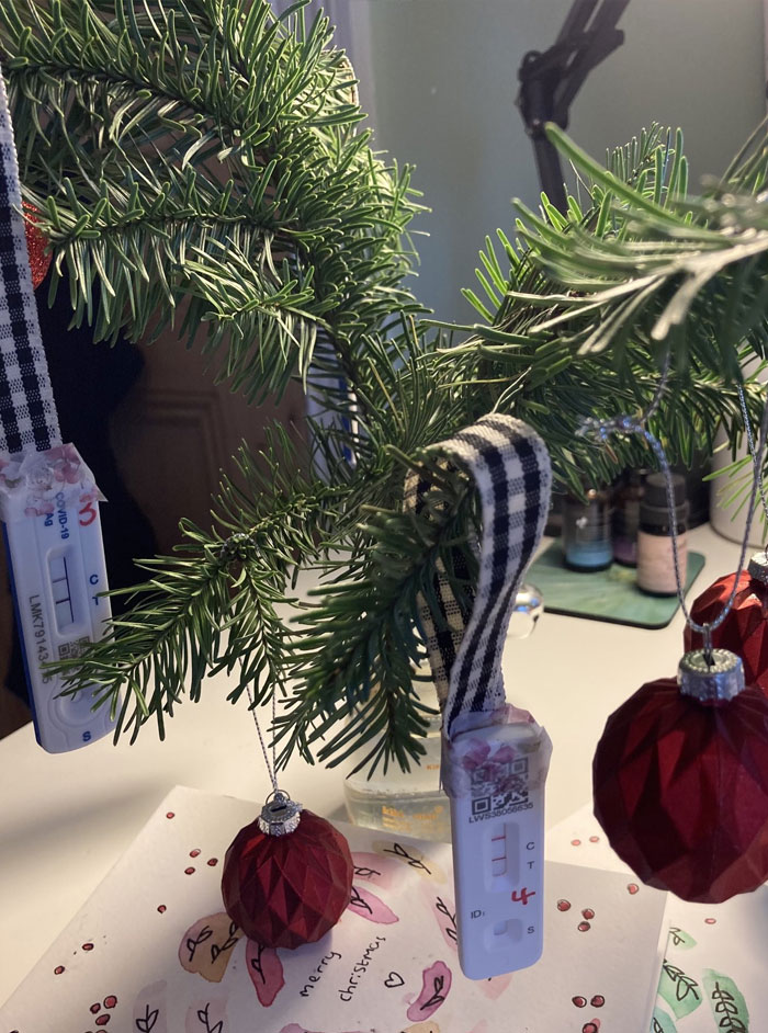 My Daughter Made This Beautiful Christmas Decoration From Her Positive LFTs
