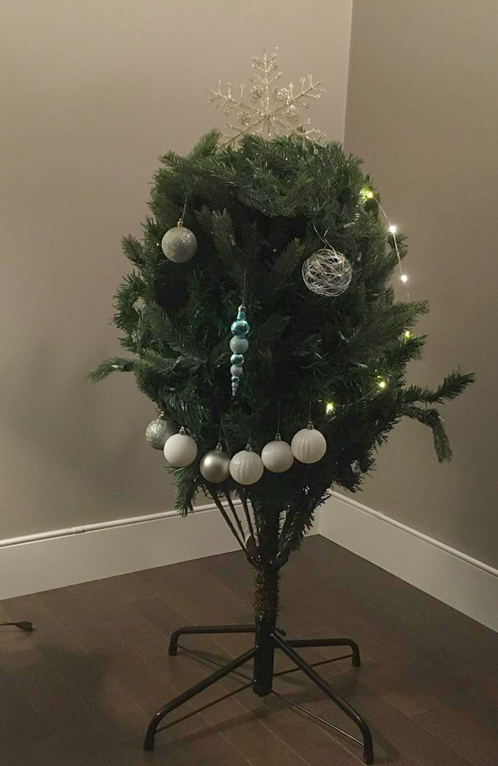 My Brothers Christmas Tree