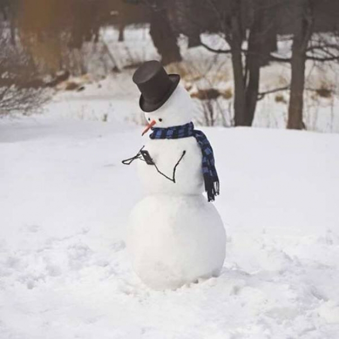 Snowman design wearing a black top hat and blue scarf using a smartphone in a snowy outdoor setting