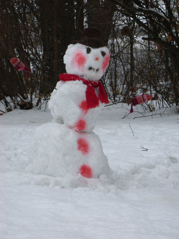 Creative Snowman