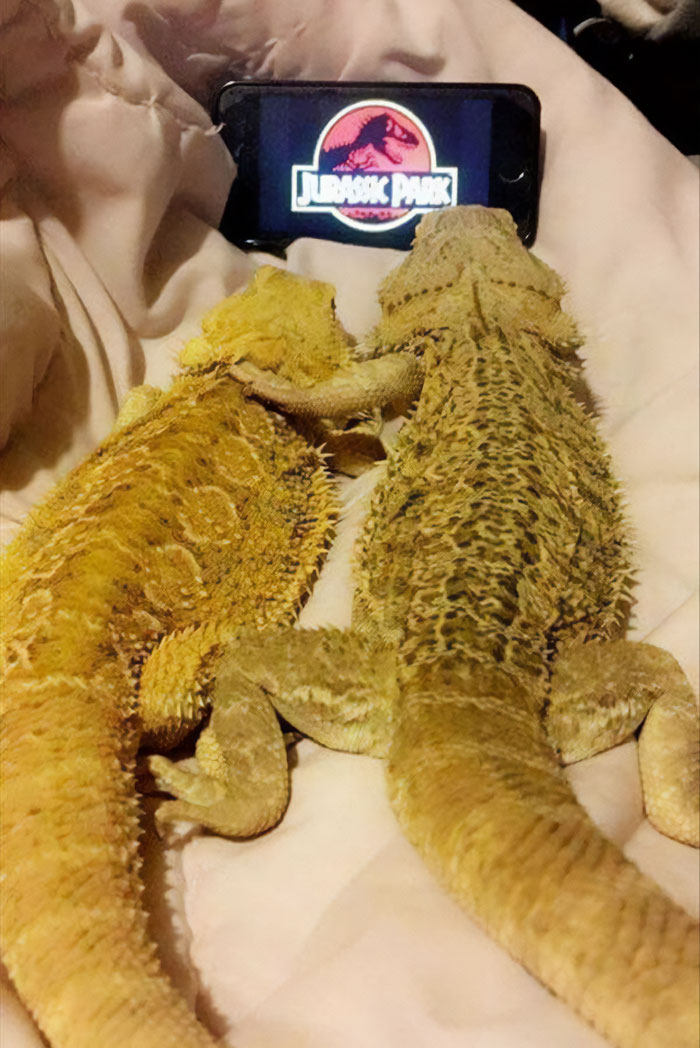 "I Want To Leave" Is Pretty Much The Weirdest Instagram Account, And Here Are 50 Pictures To Prove It (New Pics)