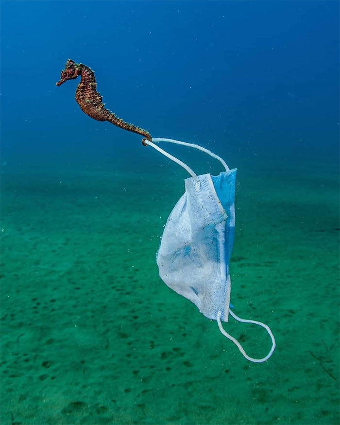 "I Want To Leave" Is Pretty Much The Weirdest Instagram Account, And Here Are 50 Pictures To Prove It (New Pics)