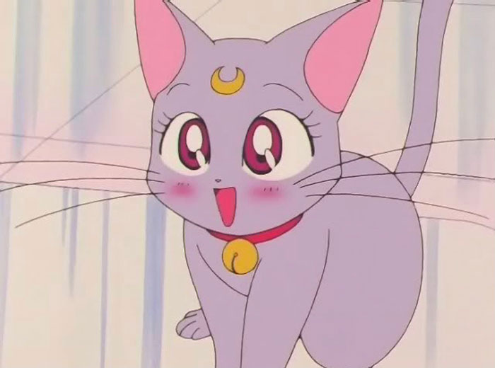 Cute animated character: a playful purple cat with big eyes, pink ears, and a red collar, ready to make you smile.