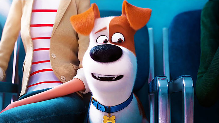 Cute animated dog character sitting in a theater, wearing a blue collar with a tag, looking happy.