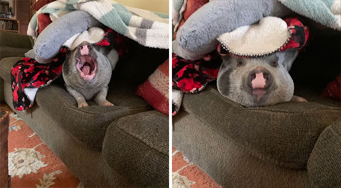 I Don’t Want To Go Outside!