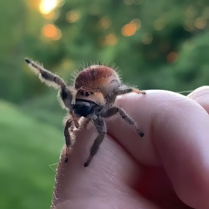 Scarlet Says Hi To All