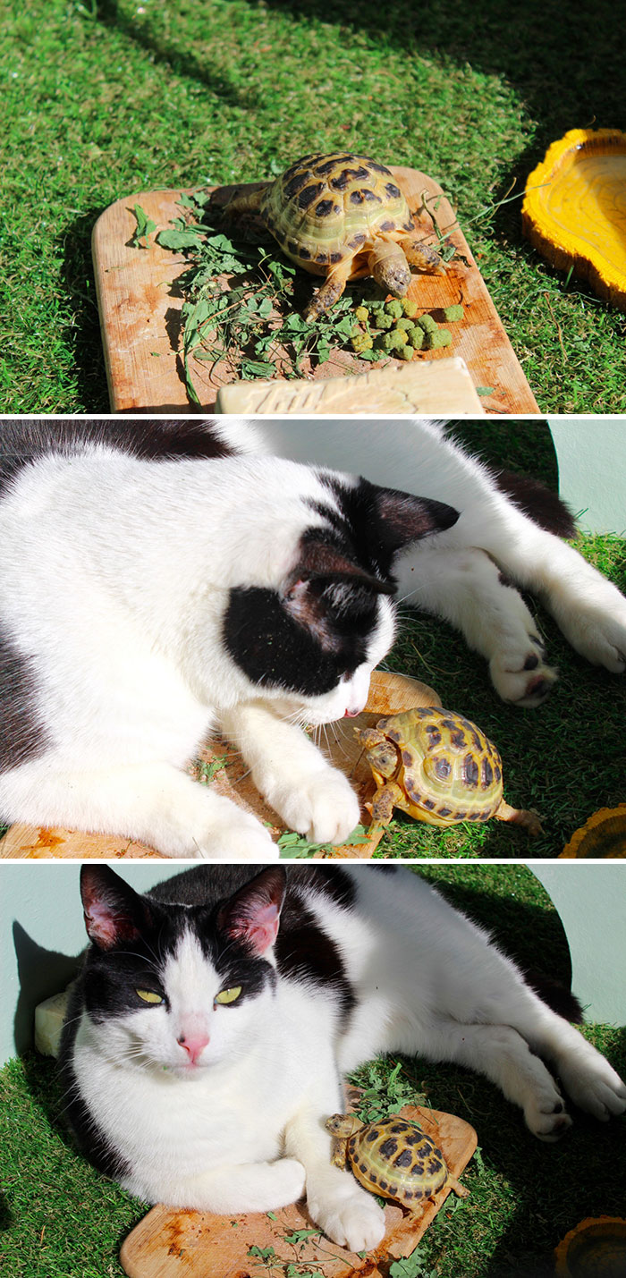 That Wasn't Expected