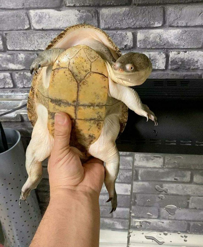 Well Hello There Guys