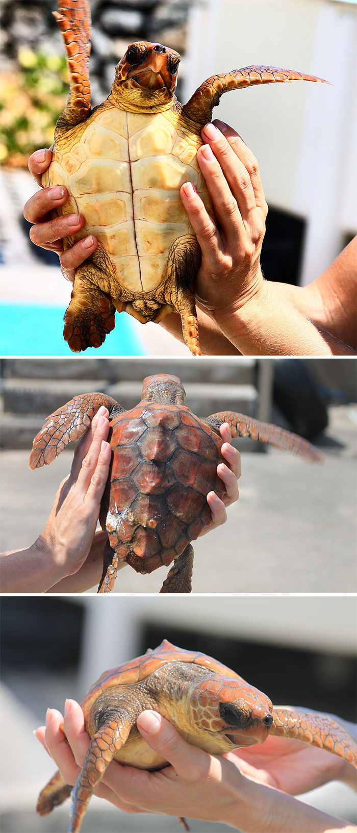 Look At Him Go! *waving Back*