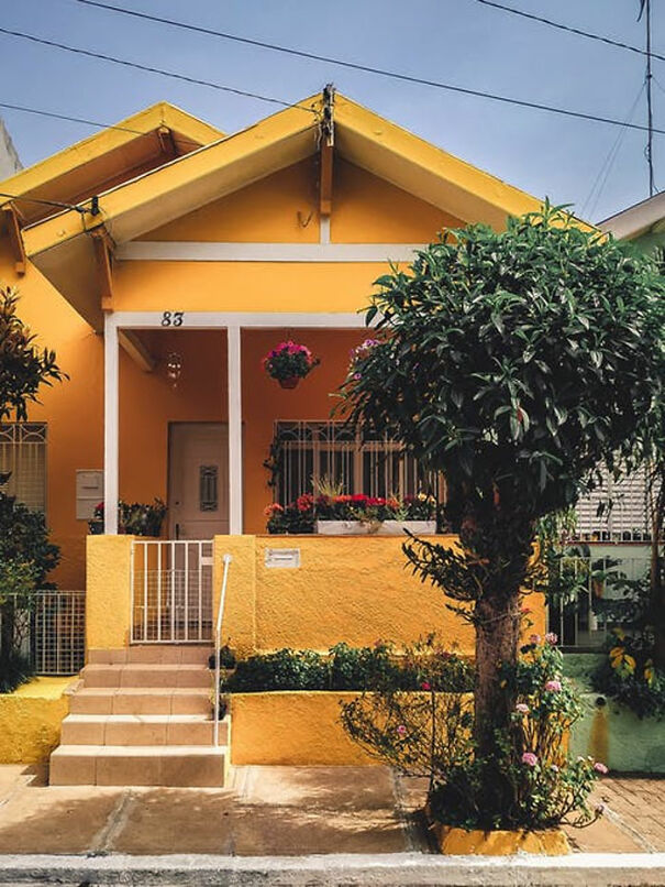 A bright yellow house with a front porch, surrounded by vibrant plants and flowers.