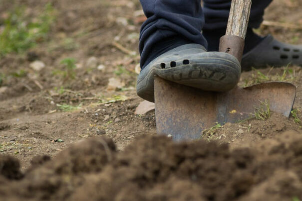 "Person wearing clogs using a shovel in soil, reminiscent of dark jokes humor, simple outdoor gardening scene."