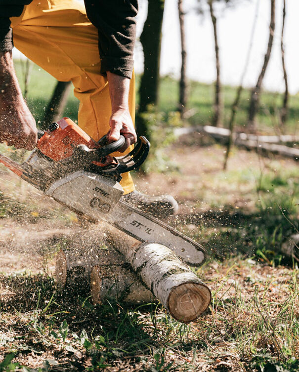 Person cutting wood with a chainsaw in a forest setting, wearing yellow pants.