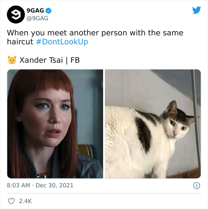 Dont-Look-Up-Netflix-Reactions-Memes