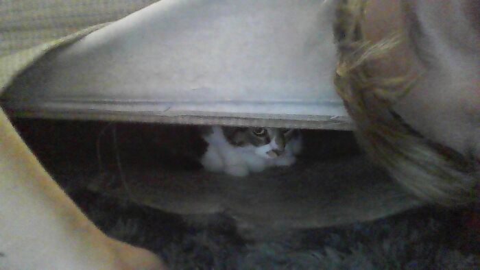 He Hides In His Lair All Day