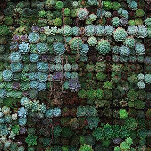 cherie-taylor4002 avatar