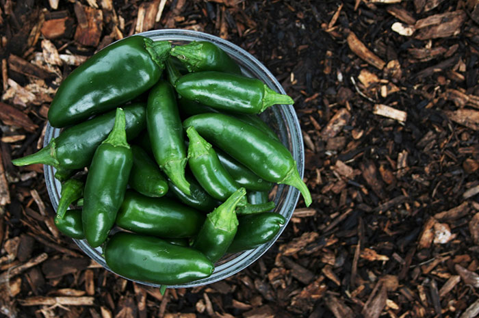 People Are Sharing Their Biggest Food Name Mistakes So You Won't Have To Make Them