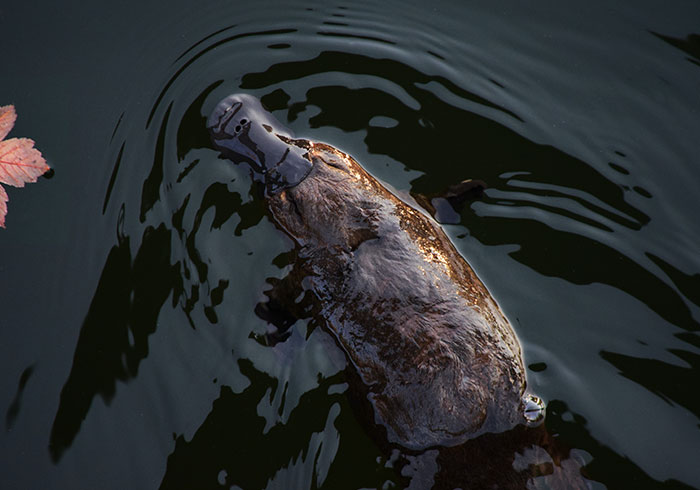 30 Ex-Racists Share What Honestly Changed Their Views