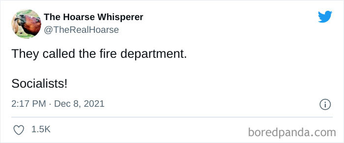 Fox-News-Christmas-Tree-Burning-Funny-Reactions