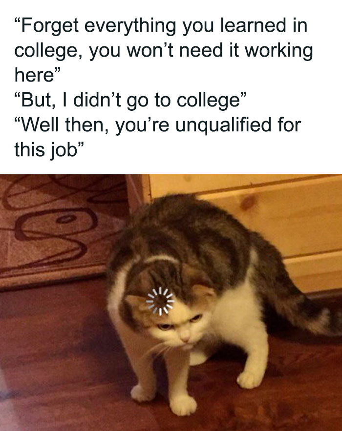 *cries In Millennial/Zoomer*