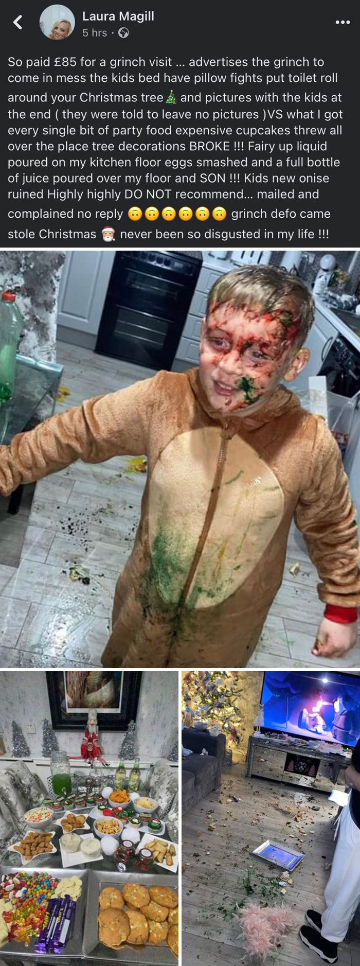 Woman Spent £85 On A "Grinch Visit". He Did His Job Perfectly