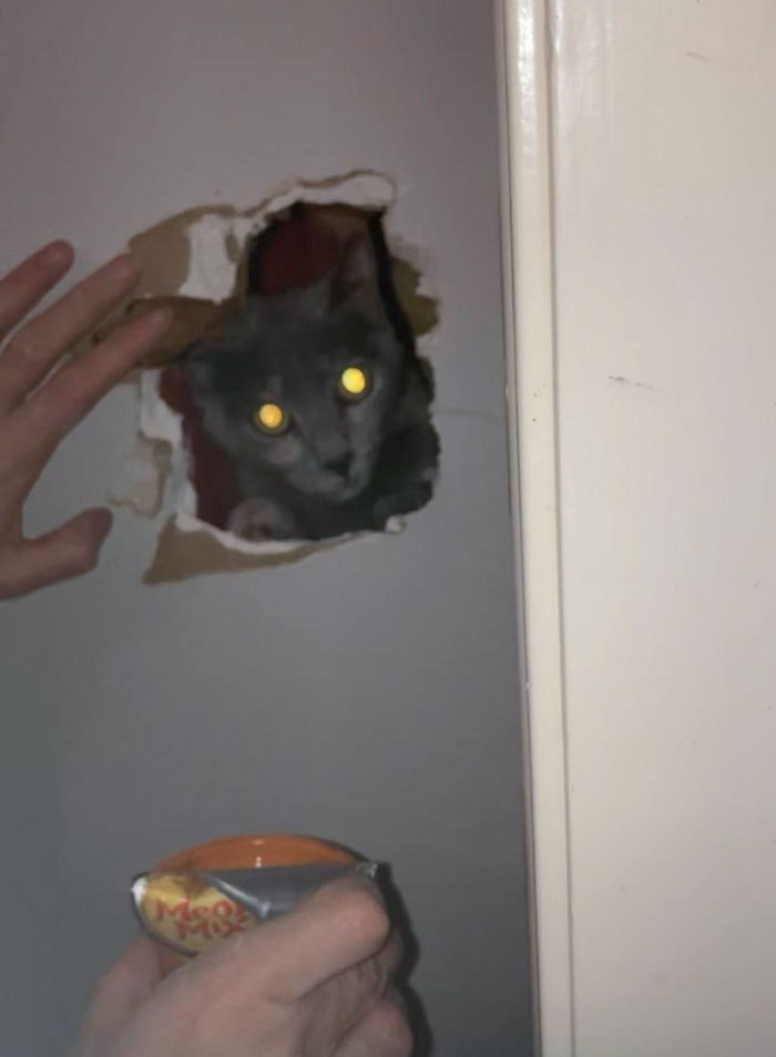 When You Climb Into The Attic And End Up In The Wall On Christmas Eve And We Gotta Get You Out