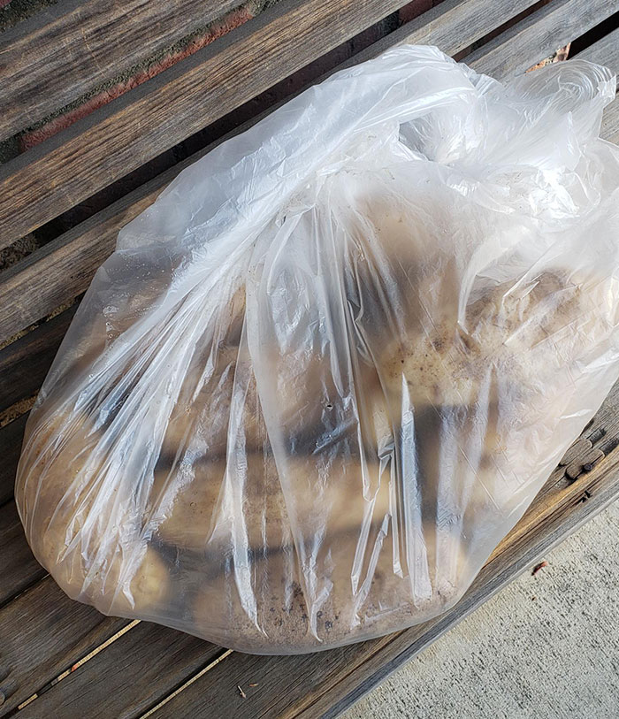 My Girlfriend's Boss Handed This To Her In Her Office Saying, "These Are Being Handed Out From The Company." I'm Not Sure If This Is A Christmas Gift