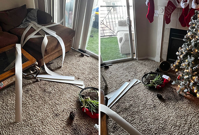 Had Literally 2 People Over For The Roommate's Birthday Party. They Started Wrestling And Broke My Plant, Christmas Tree, And Blinds