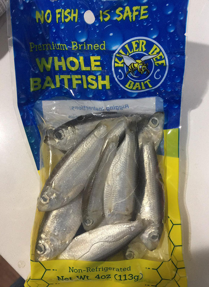 My Brother Got Me This For Christmas, And I Don’t Even Fish