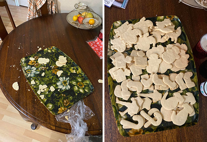 Dog Ate 50 Christmas Cookies