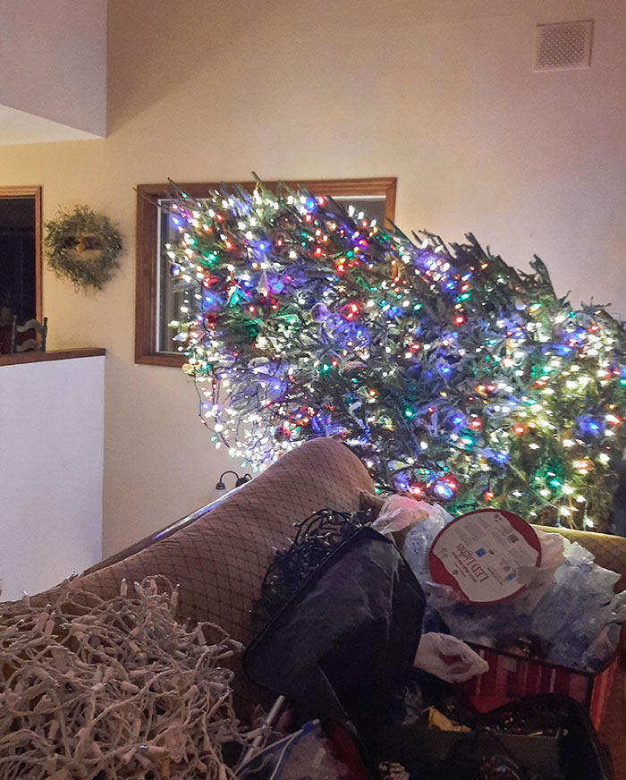 Merry Christmas Everyone