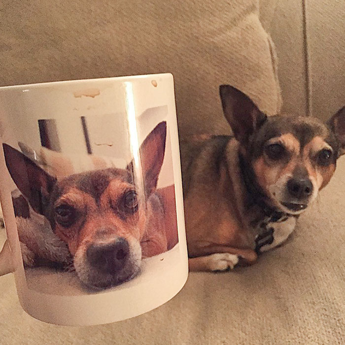 Funny Christmas Gift