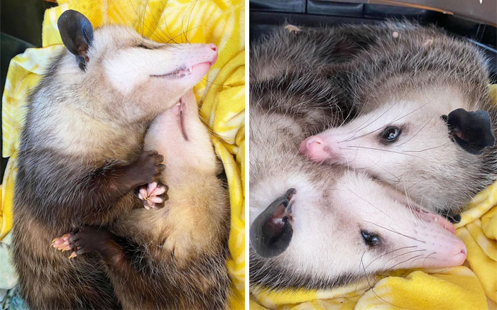 Happy Sleepy Smiley Sunshiney Sunday, Friends! Xo Emma & Freya