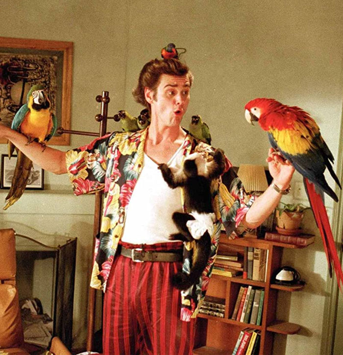 Ace Ventura, Ace Ventura (Jim Carrey)