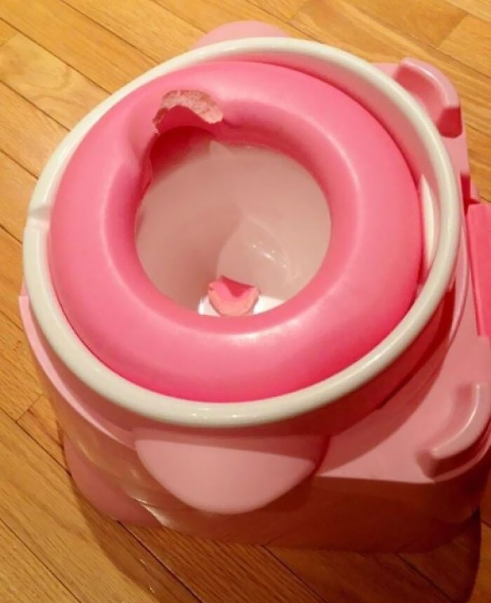 Trying To Potty Train My Teething Toddler. She Took A Chomp Right Out Of The Foam Seat