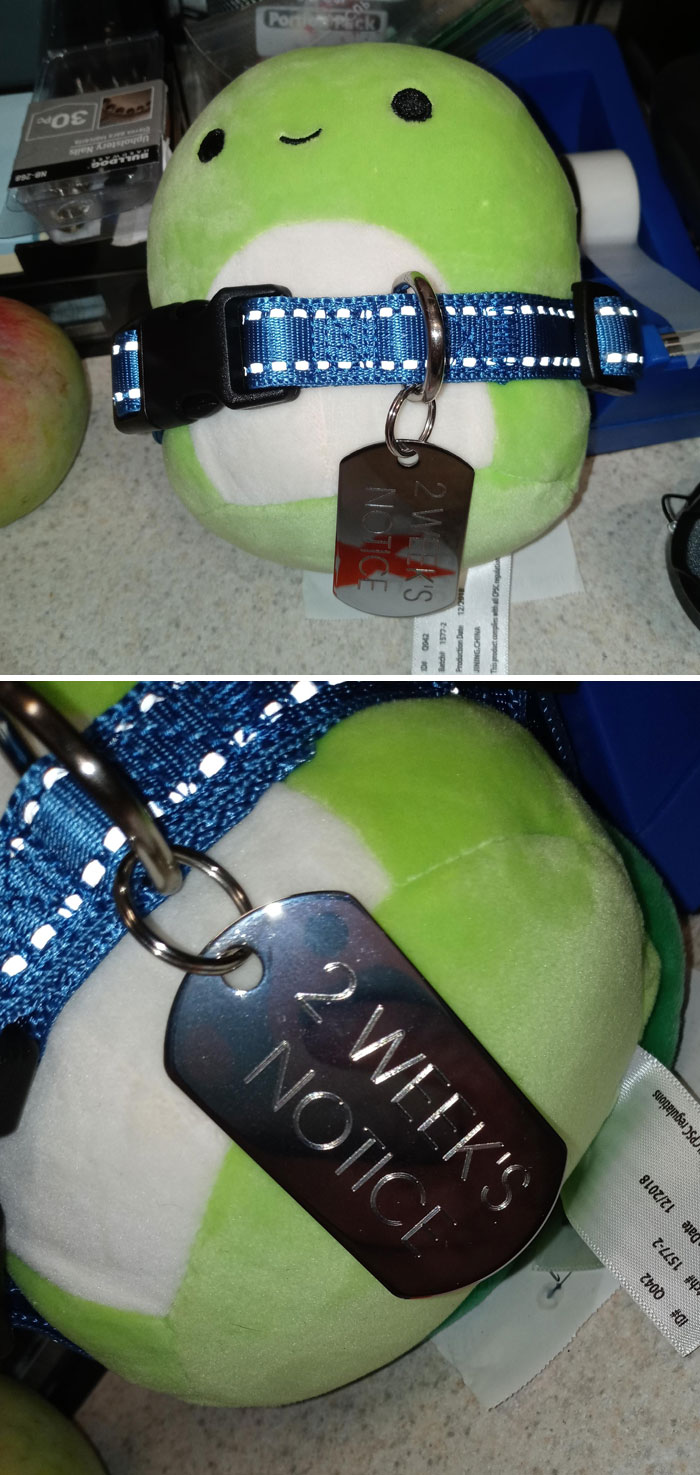 2 Weeks Notice And My Store Manager Likes Turtles