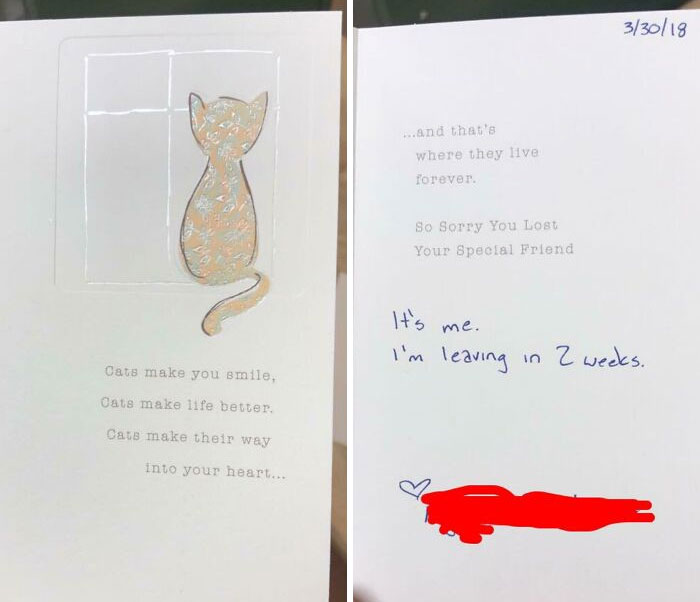 This Was My Resignation Letter To My Work. I Gave Them A Sympathy Card