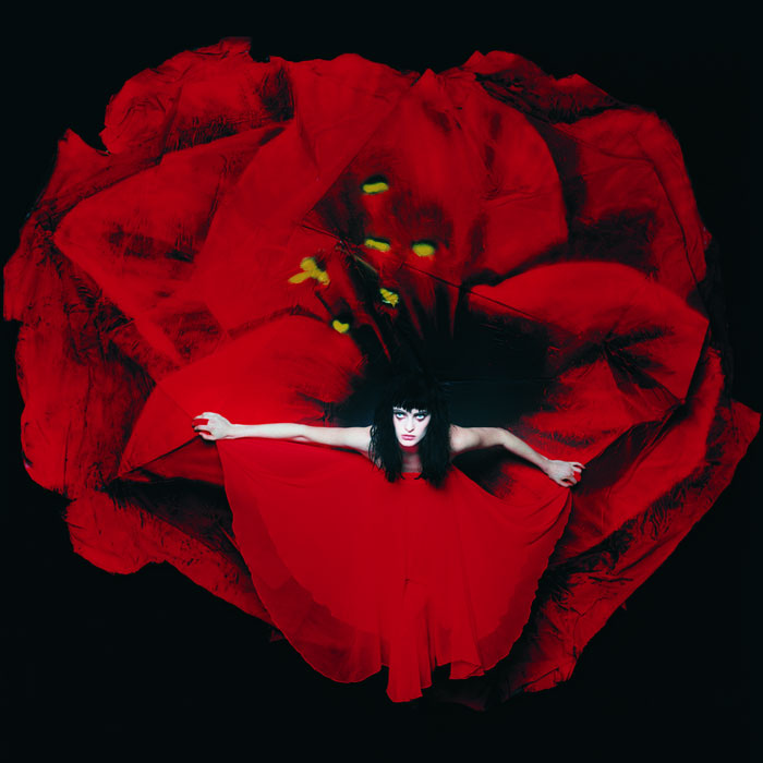 Woman in a red dress forming part of a flower on one of the greatest album covers.