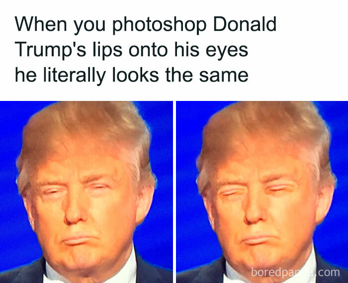 Thanks, I Hate Trump