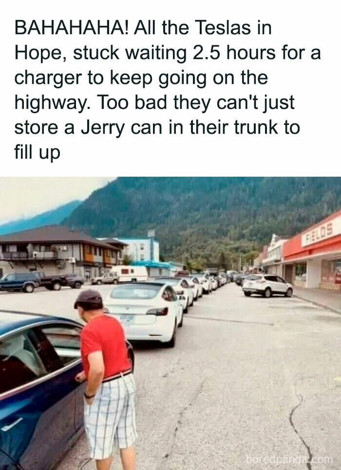 Thanks, I Hate My Tesla