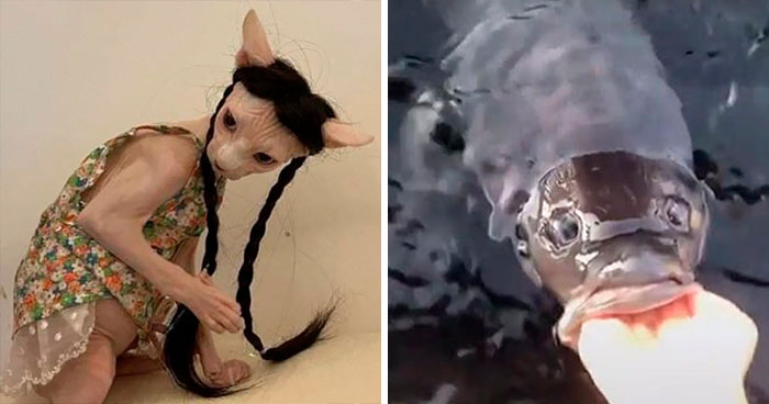 40 Times People Found Something Unsettling And Shared It On The “Thanks, I Hate It” Page (New Pics)