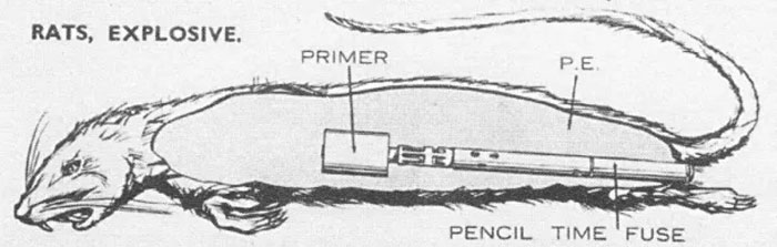 Here Are 35 Of The Most Ridiculous Facts In History, Shared In This Online Thread