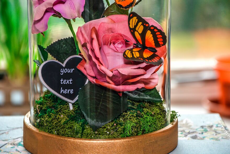 A Rose In Glass - Beauty And The Beast