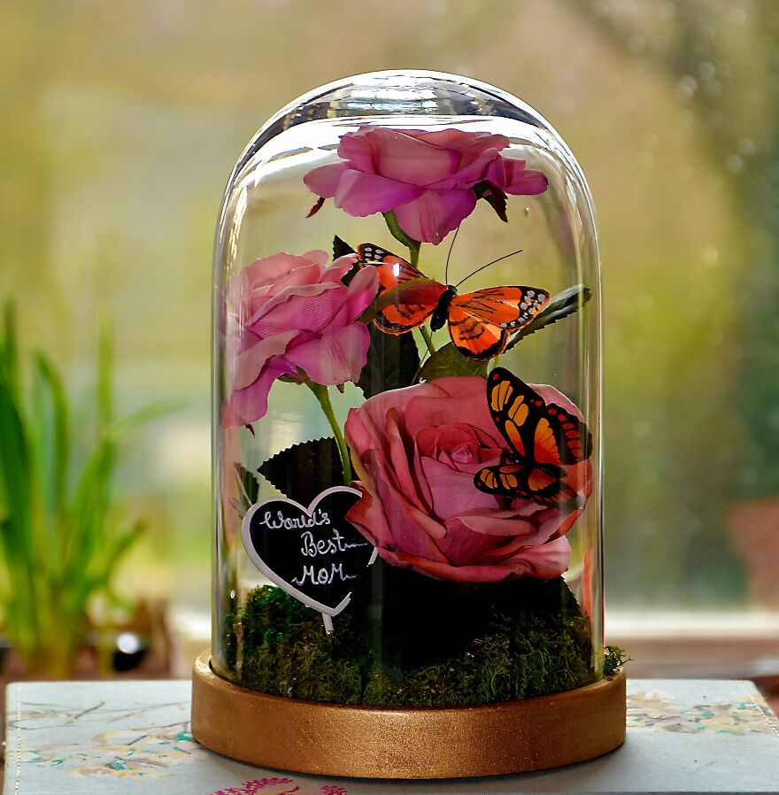 A Rose In Glass - Beauty And The Beast