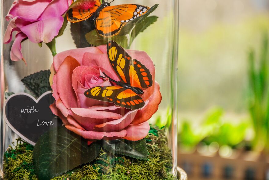 A Rose In Glass - Beauty And The Beast