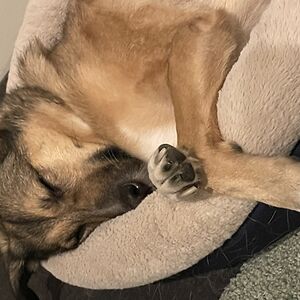 lydiaburleson avatar