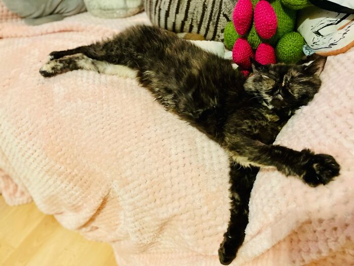 Ah This Is The Life!