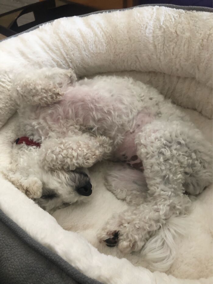 Twist And Turn Until Your Just Right