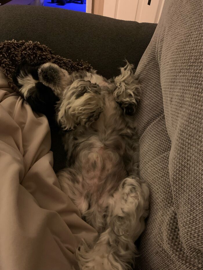 Assuming The Position