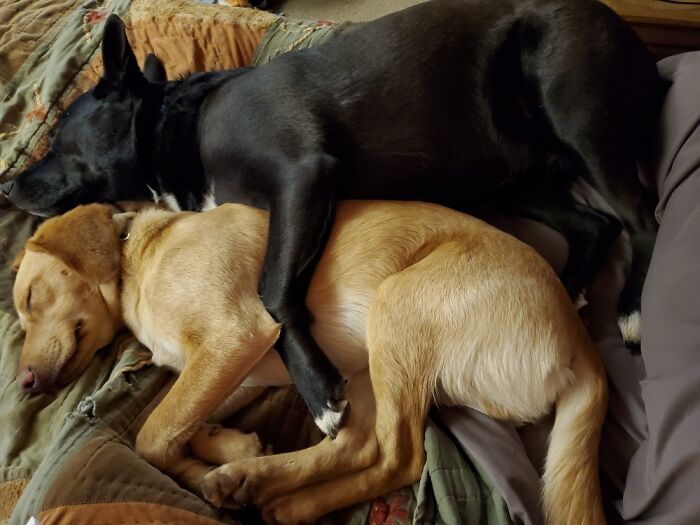 Just A Couple Of Best Friends!