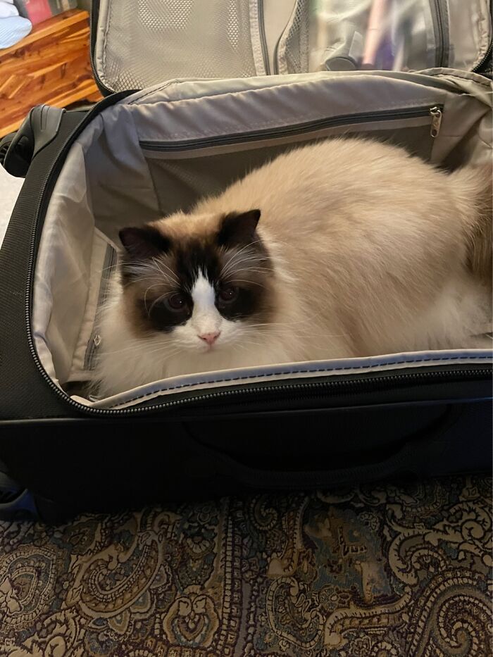 Ready To Go On A Trip